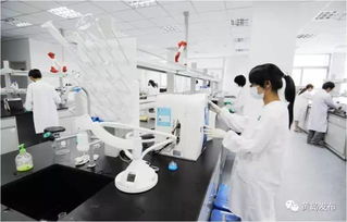 西海岸现代农业项目集中发力，52亿元投资引领产业升级